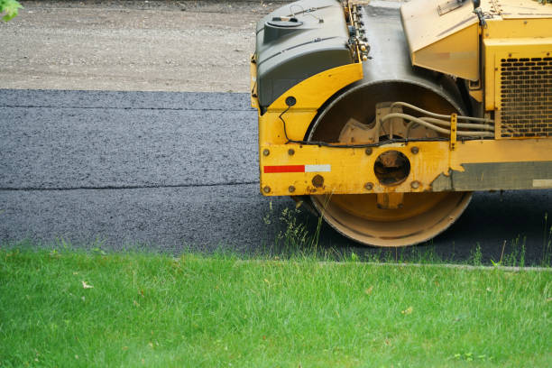 Best Local Driveway Pavers  in Memphis, MI